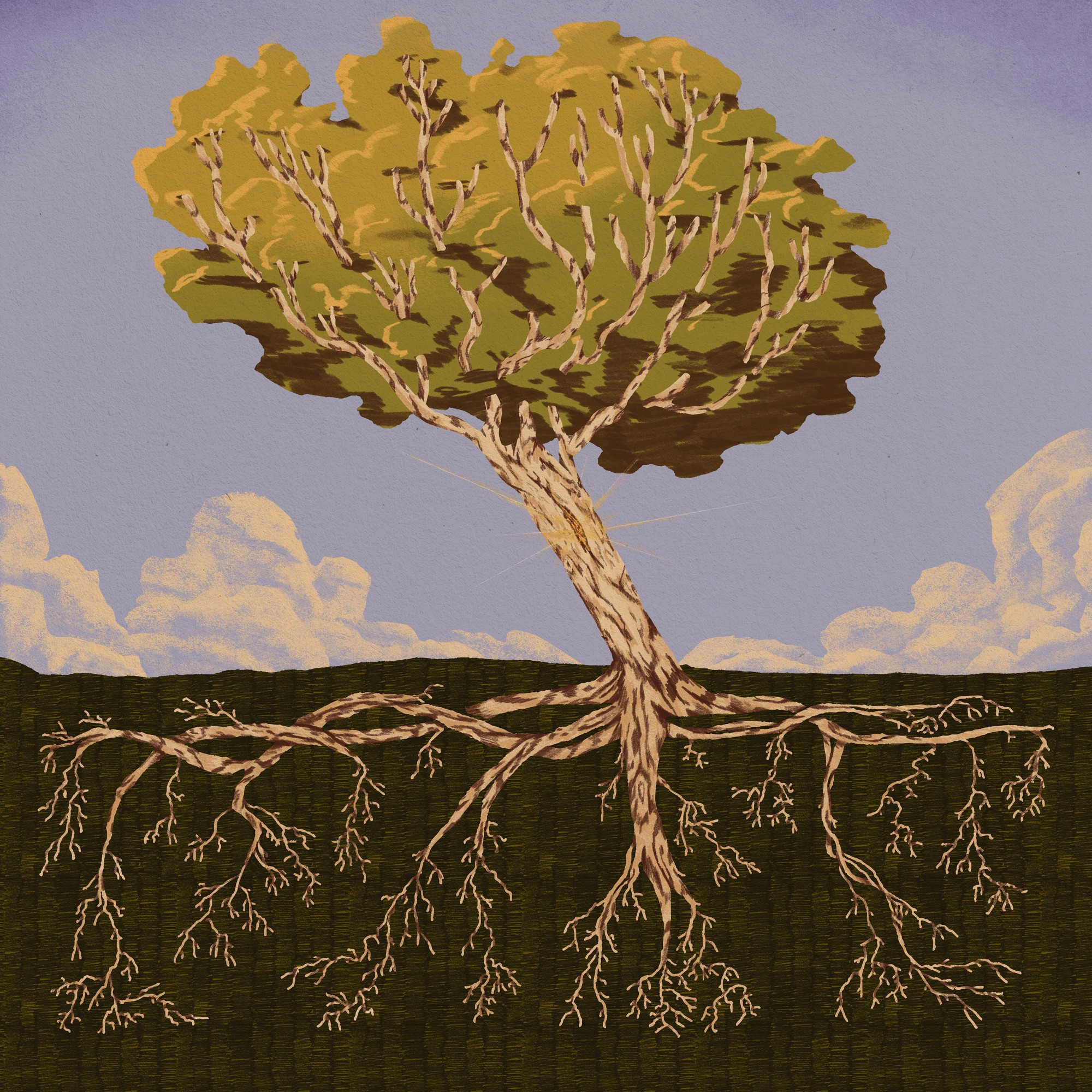 Tekening van een boom.