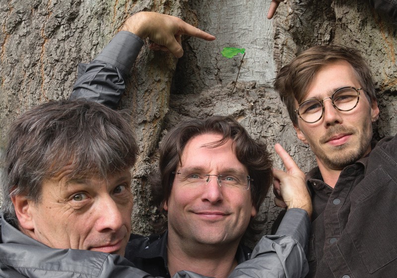 De bandleden van O Tree poserend voor een boom. Van links naar rechts: Wiek Hijmans, Bart Soeters en Mees Siderius.