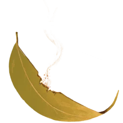 Blad vallend van boom.